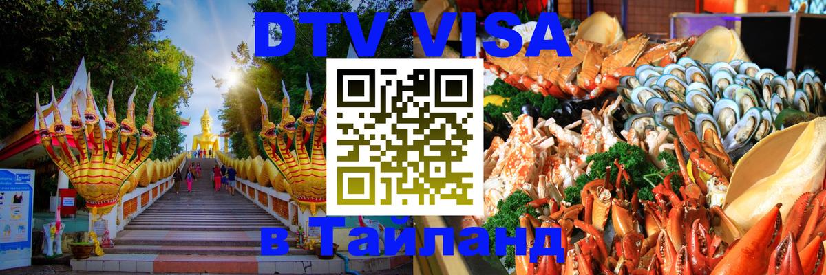 Оформление DTV визы под ключ: стоимость и тарифы, только загранпаспорт - Тирана  21.11.2025 